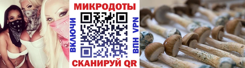Псилоцибиновые грибы GOLDEN TEACHER Томск