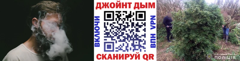 Конопля ГИДРОПОН Томск